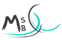 msb